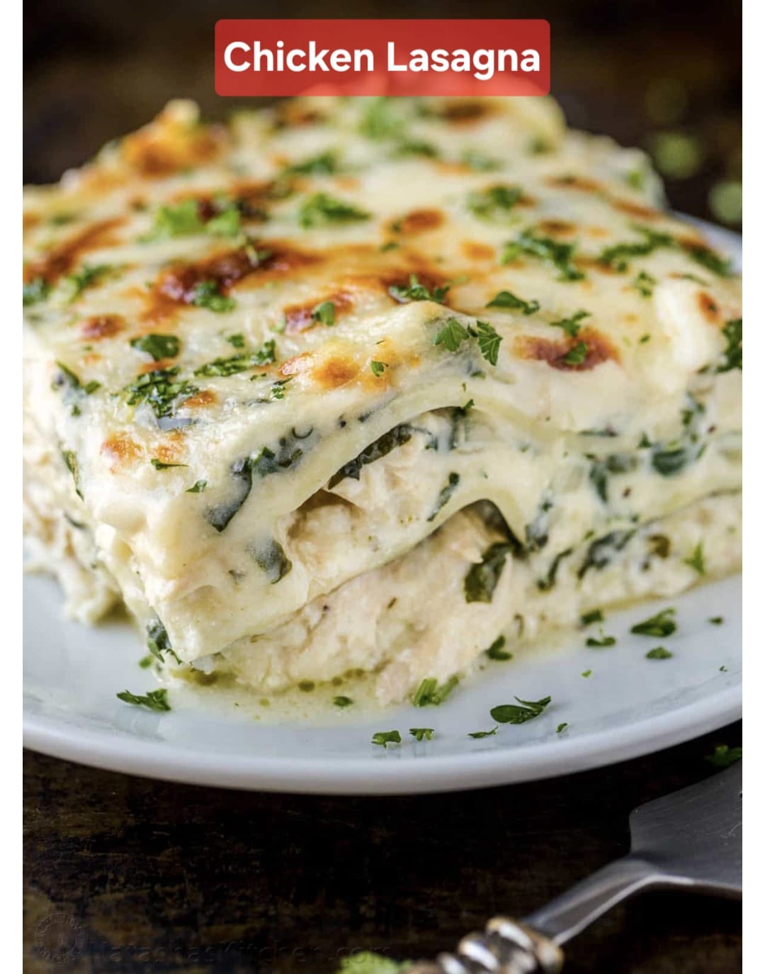 chicken lasagna